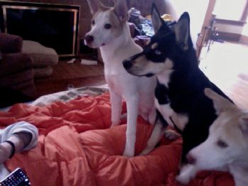 kelseynickol profile photo