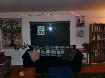 codyhoughton profile photo