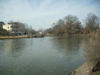 Nussell profile photo