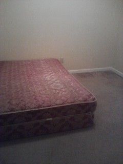 hammetta profile photo