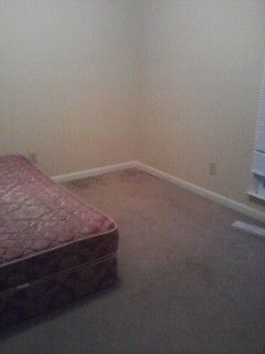 hammetta profile photo