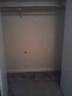 hammetta profile photo