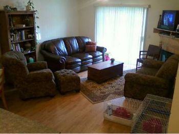 Katinthebag profile photo