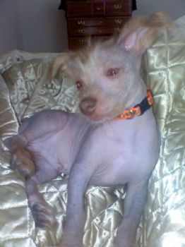 getzma01 profile photo