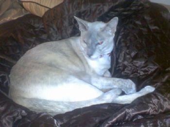 getzma01 profile photo