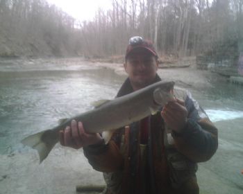 ksheely1973 profile photo