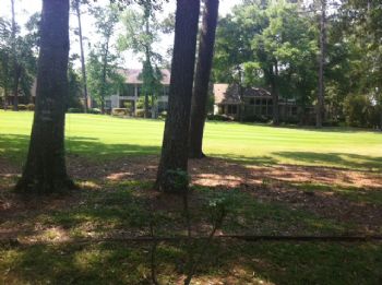 ang3763 profile photo