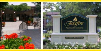 endombele profile photo