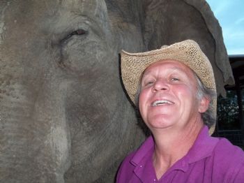 acemeister profile photo