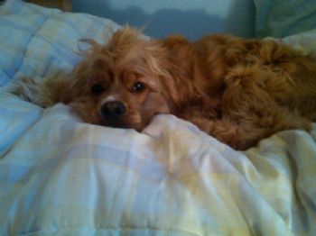 kkel3294 profile photo