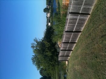 texasman20 profile photo