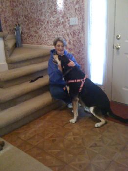 Librarylady profile photo