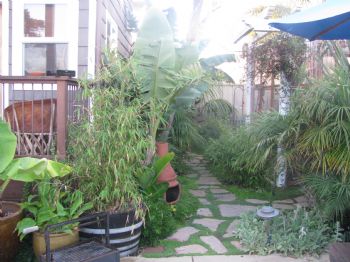 carlykaiser profile photo