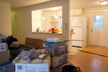 Tamerlin profile photo