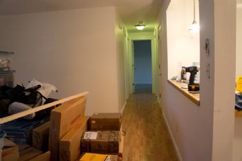 Tamerlin profile photo