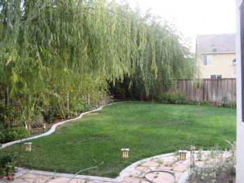 fbazan profile photo