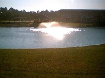 elainelw profile photo