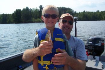 BRIN241 profile photo