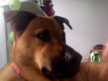 annamaria325 profile photo