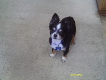 TamBear20 profile photo