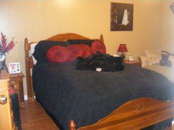 karlamcc profile photo