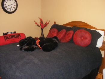 karlamcc profile photo