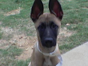 twotheone profile photo