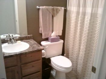 bosox008 profile photo