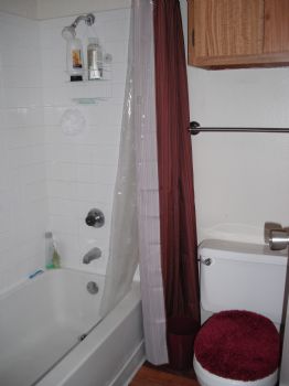 tcorey7 profile photo