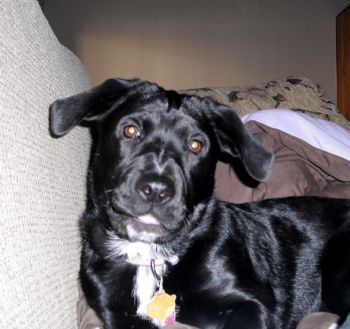 tcorey7 profile photo