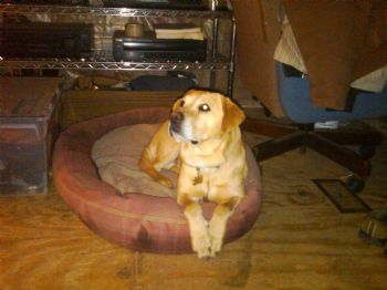 NascarFan24 profile photo