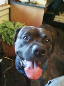 Duane Sherk profile photo