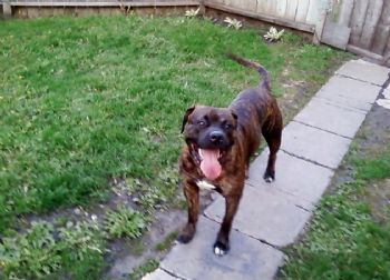 Duane Sherk profile photo