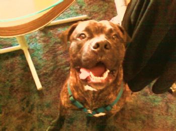 Duane Sherk profile photo