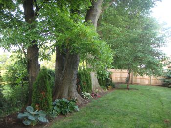 jules2254 profile photo