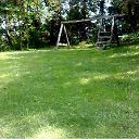 smp261 profile photo