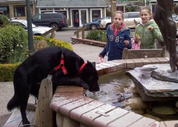 sandyfoot profile photo