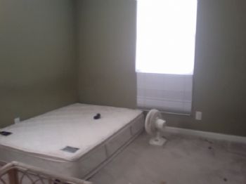 dtaylor55 profile photo