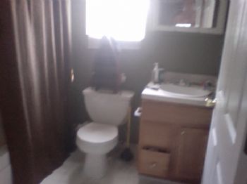 dtaylor55 profile photo