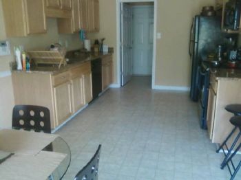 stressfree profile photo