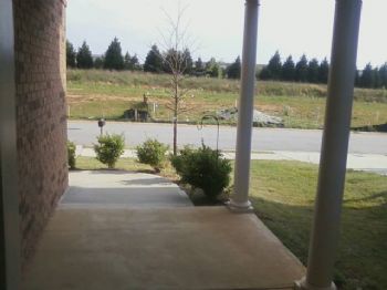 stressfree profile photo