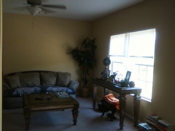 stressfree profile photo