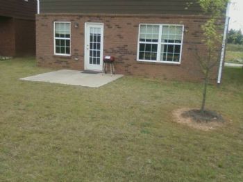 stressfree profile photo