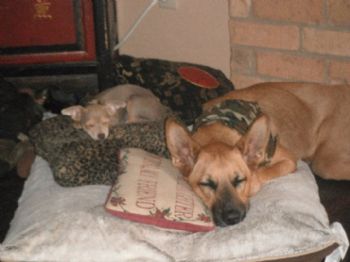 kate25 profile photo