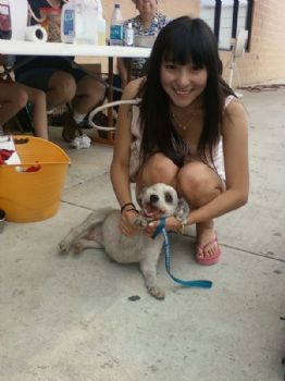 mengmeng profile photo