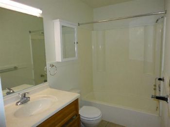 mojica profile photo