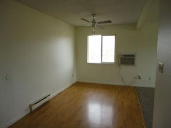 mojica profile photo