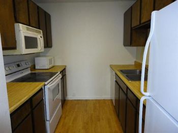 mojica profile photo