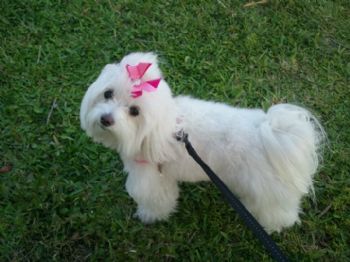 kimkat profile photo