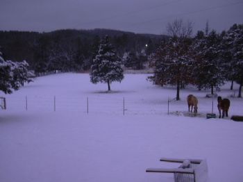 dcountry profile photo